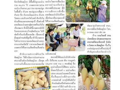 ผนึกเครือข่ายสหกรณ์ทั่วไทย เร่งระบายมะม่วงGIพิษณุโลก พารามิเตอร์รูปภาพ 14